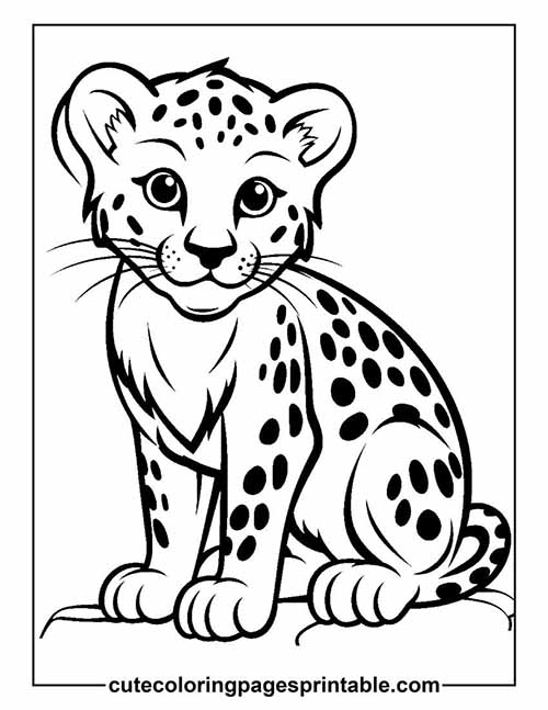 Cheetah With Spots Coloring Page