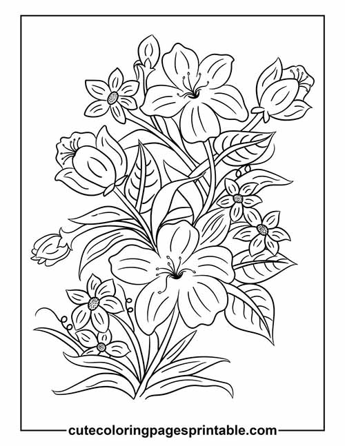 Coloring Page Of Flower Blooming
