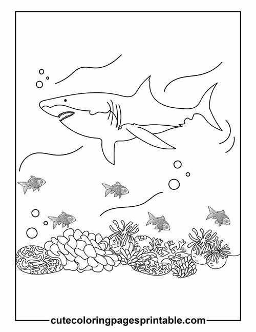 Shark With Coral And Fish Coloring Page