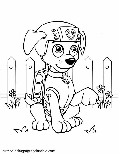 Zuma Sitting With Flowers Paw Patrol Coloring Page