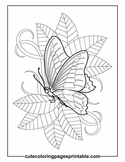 Coloring Page Of Butterfly Butterfly With Leaves Swirling