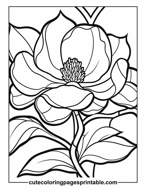 Flower With Shading Leaves Coloring Page