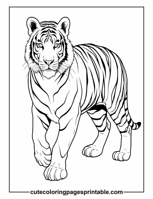 Tiger With Stripes Coloring Page
