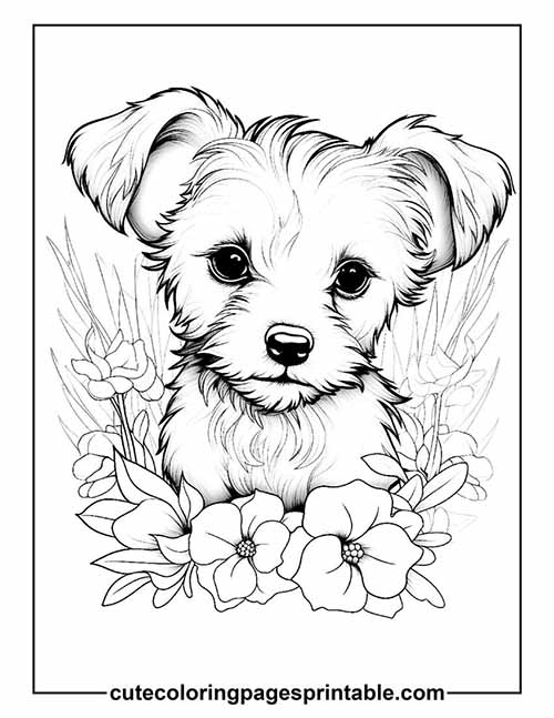Coloring Page Of Dog With Flowers
