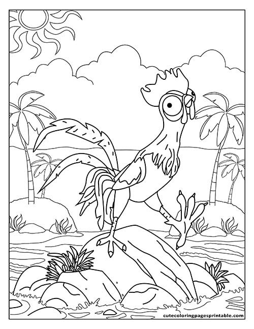 Moana Coloring Page Of Hei Hei Standing On Rock