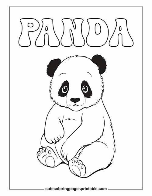 Panda Curious Coloring Page