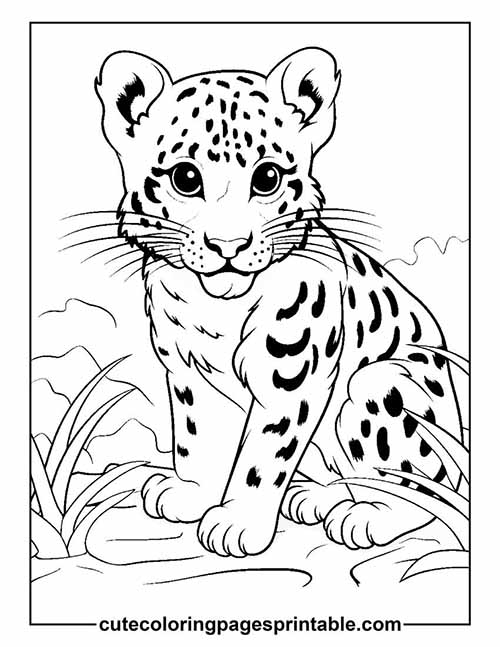 Coloring Page Of Cheetah Sitting