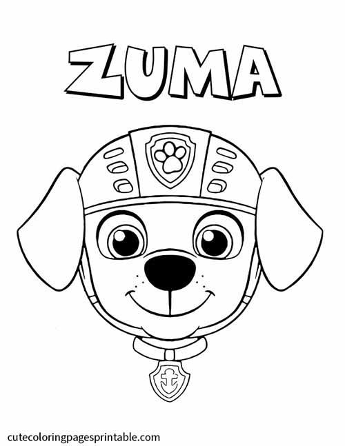Paw Patrol Coloring Page Of Zuma Hat Badge Smiling