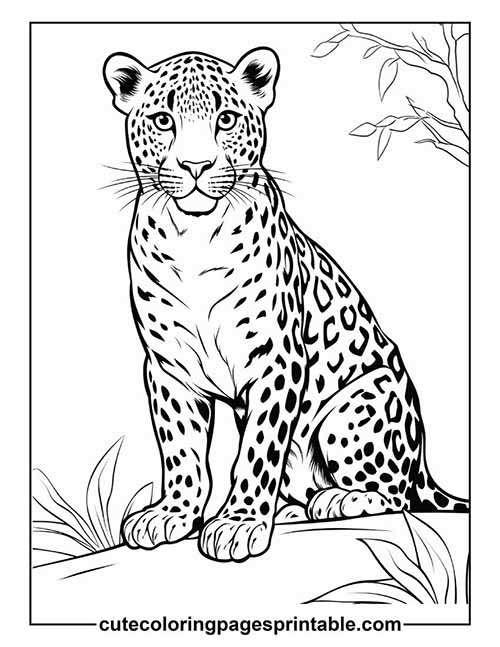 Coloring Page Of Cheetah Sitting With Leaves Blowing