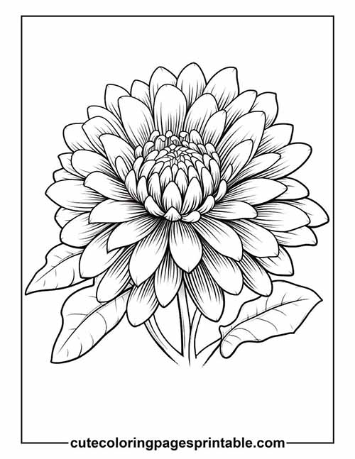 Coloring Page Of Flower With Shading Petals