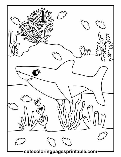 Coloring Page Of Shark Swimming