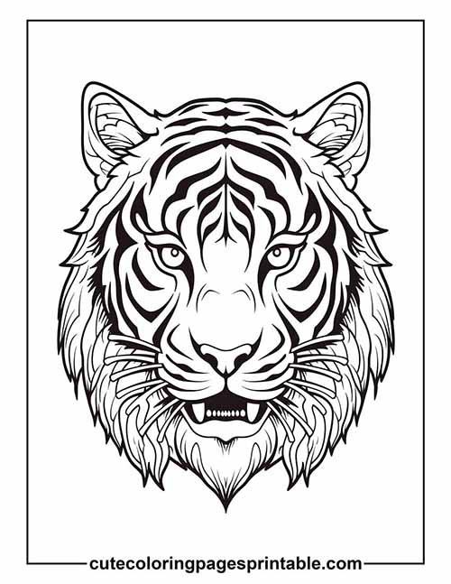 Coloring Page Of Tiger With Stripes