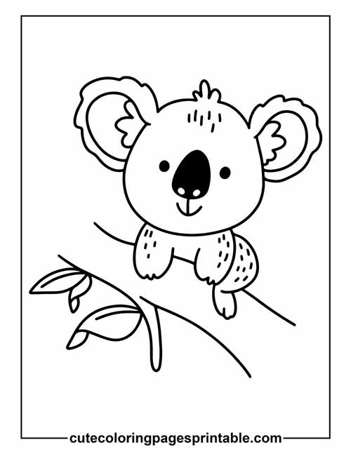 Koala Sitting On Branch Coloring Page