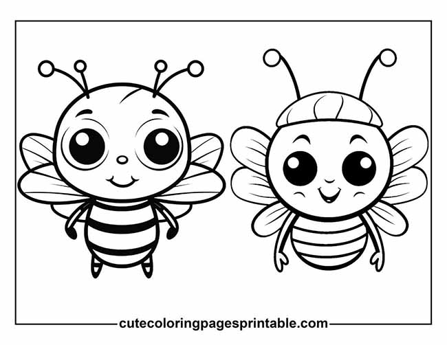 Bee Smiling With Antennas Wiggling Coloring Page