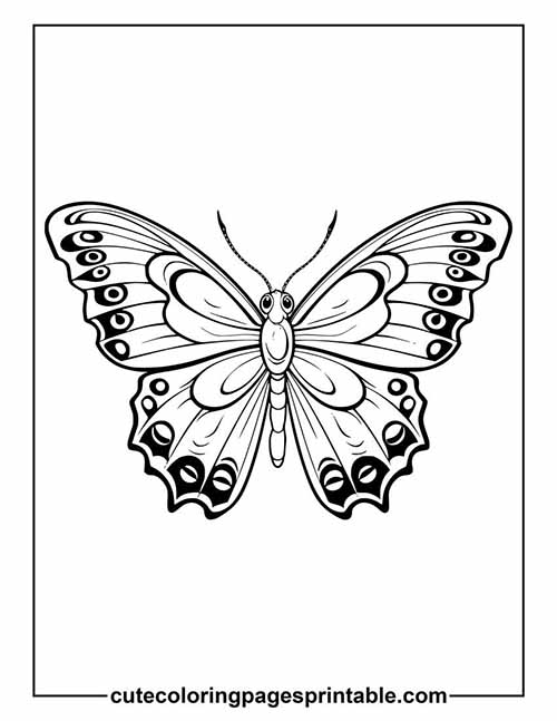 Butterfly Butterfly Resting Coloring Page