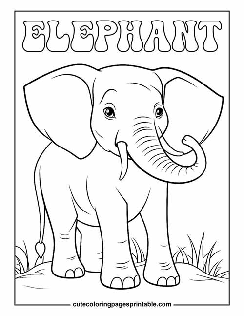 Elephant Standing With Grass Coloring Page
