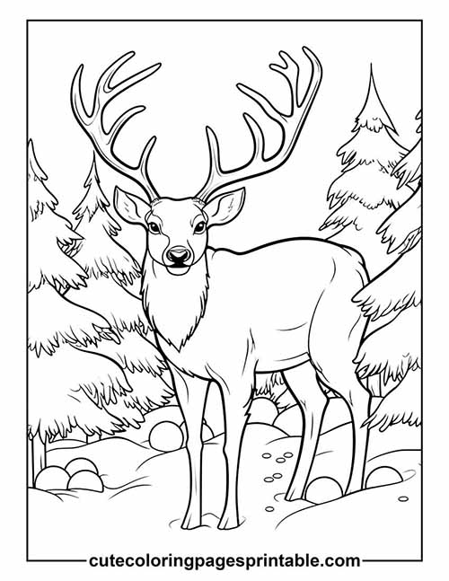 Reindeer Standing With Forest Trees Coloring Page